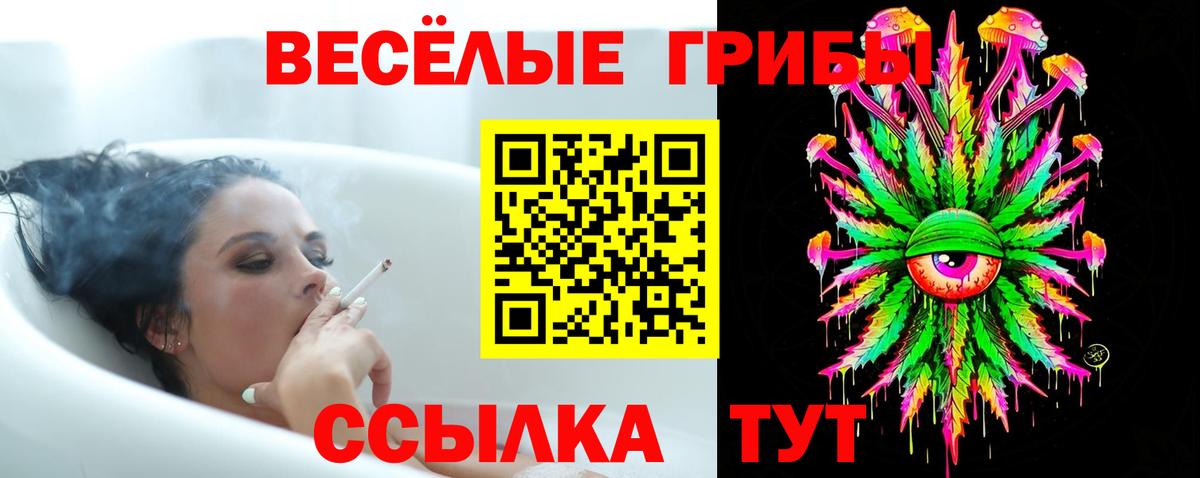 хочу наркоту  Вход с VPN  Дагестанские Огни  Псилоцибиновые грибы ЛСД 